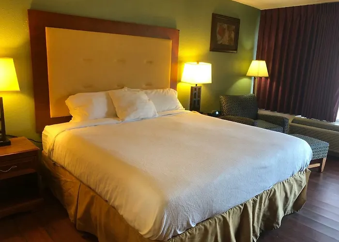 Central hotel: Express Airport Inn